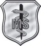 Air Force Doctor Badge