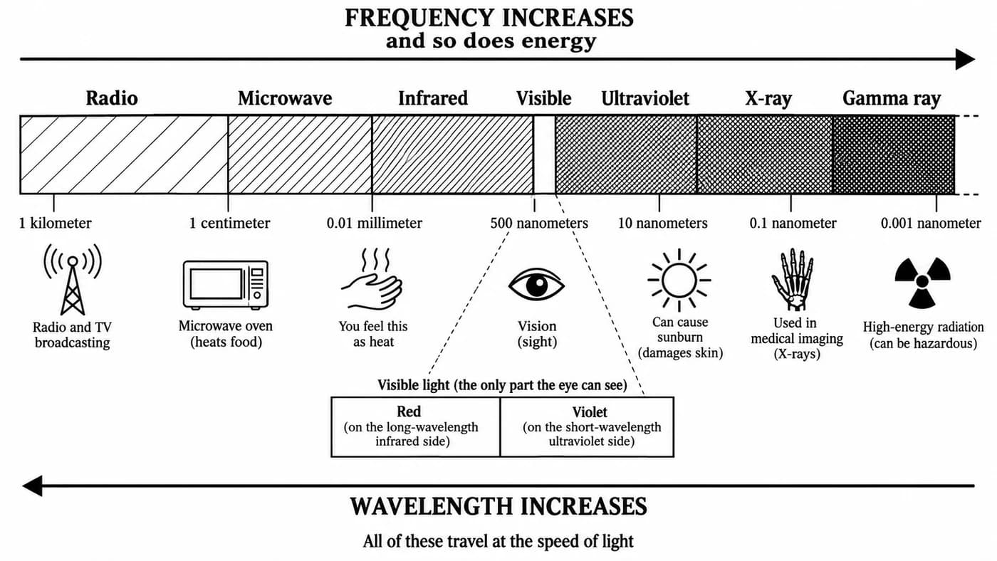 The electromagnetic spectrum from radio through microwave, infrared, visible light, ultraviolet and X-ray to gamma ray, with frequency and energy rising one way and wavelength the other, and an everyday use for each band.