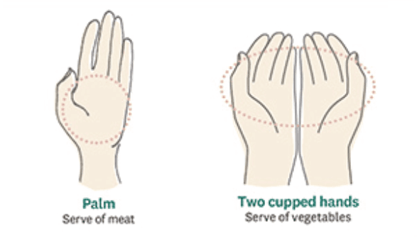 Hand-based serving sizes (large portions): Palm = serving of meat; Two cupped hands = serving of vegetables.