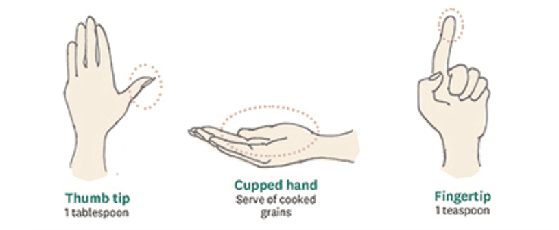 Hand-based serving sizes (small portions): Thumb tip = 1 tablespoon; Cupped hand = serving of cooked grains; Fingertip = 1 teaspoon.