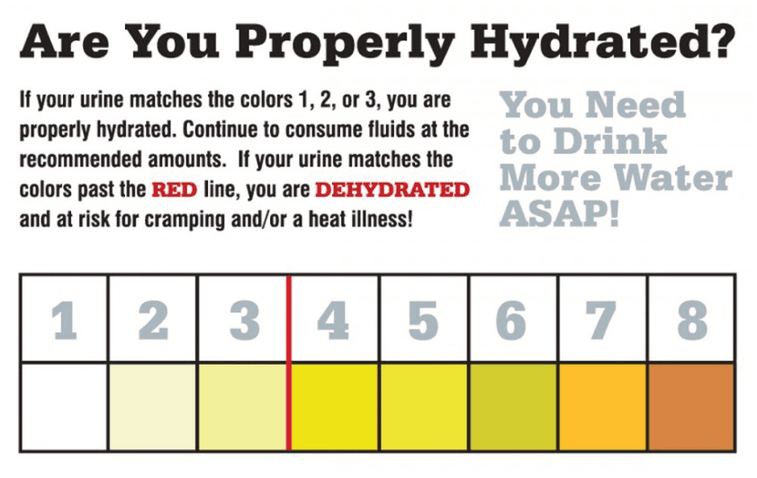 Are You Properly Hydrated? — urine color chart with 8 shades. Colors 1-3 = properly hydrated; colors past the red line (4+) = dehydrated and at risk for cramping and/or heat illness.
