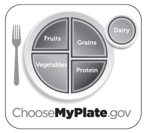 MyPlate diagram showing the five food groups: Fruits, Vegetables, Grains, Protein, and Dairy (as a side cup). ChooseMyPlate.gov.