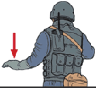 Hand & arm signal — DOWN/PRONE: arm extended outward to the side with open palm facing the ground (red arrow indicating downward push).