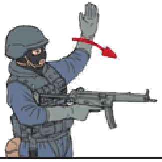 Hand & arm signal — FOLLOW: arm raised with open hand sweeping back over the shoulder toward the body.